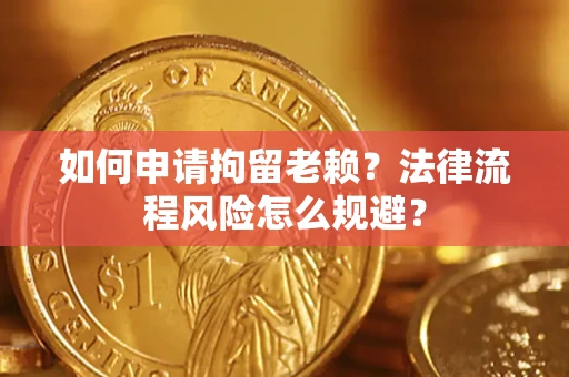 武汉如何申请拘留老赖？法律流程风险怎么规避？