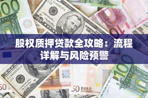武汉股权质押贷款全攻略：流程详解与风险预警