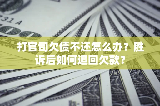 武汉打官司欠债不还怎么办？胜诉后如何追回欠款？