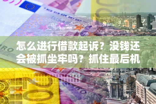武汉怎么进行借款起诉？没钱还会被抓坐牢吗？抓住最后机会！