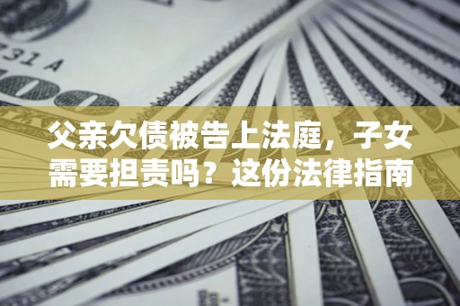 武汉父亲欠债被告上法庭，子女需要担责吗？这份法律指南必须看完