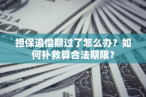 武汉担保追偿期过了怎么办？如何补救算合法期限？