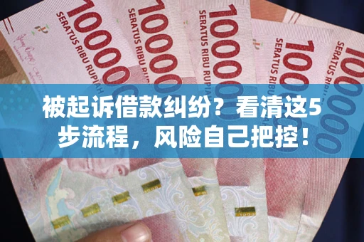 武汉被起诉借款纠纷？看清这5步流程，风险自己把控！
