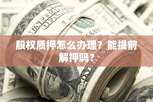 武汉股权质押怎么办理？能提前解押吗？